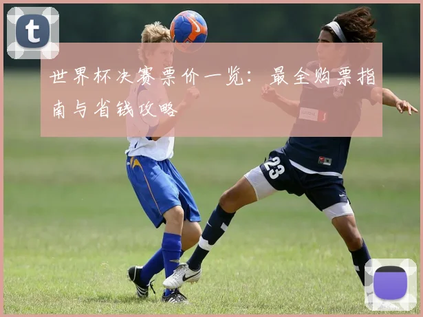 世界杯决赛票价一览：最全购票指南与省钱攻略